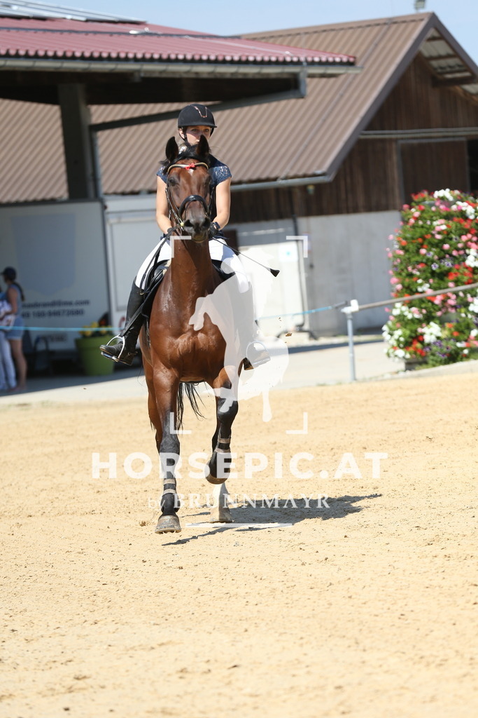 DL2Q4050 | Willkommen bei Brunnmayr - Design & Fotografie – Ihrem Spezialisten für Reitturniere und Pferdeveranstaltungen in Oberösterreich, Salzburg und Bayern! Seit über 17 Jahren sind wir leidenschaftlich dabei.