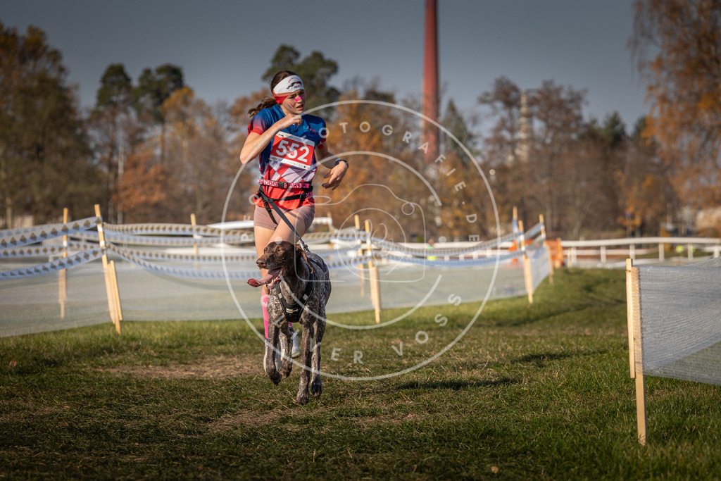 CaniXpix_0L8A9150 | Hundefotografie, Tierfotograf, Pfotenfotografie, Fotoshooting Hund, Hunde Portrait, Hundesport, Hundeportraits, Heideshooting, Hunde, Sportfotograf, Hundefotograf, Turnierhundsport, THS,  - Realisiert mit Pictrs.com