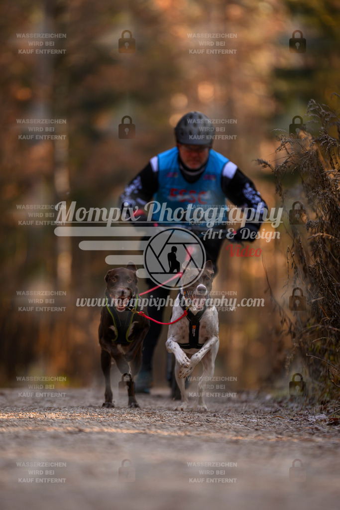 MompixPhotography_DM_AKDM_SO_2025_Scooter-32 | PayLife