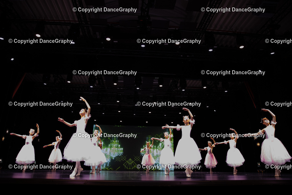 GPHY5650 | DanceGraphy - Realisiert mit Pictrs.com