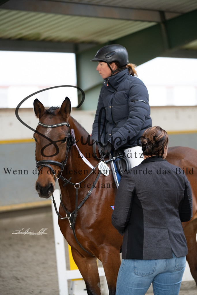 A7V01458 | Pferdefotograf