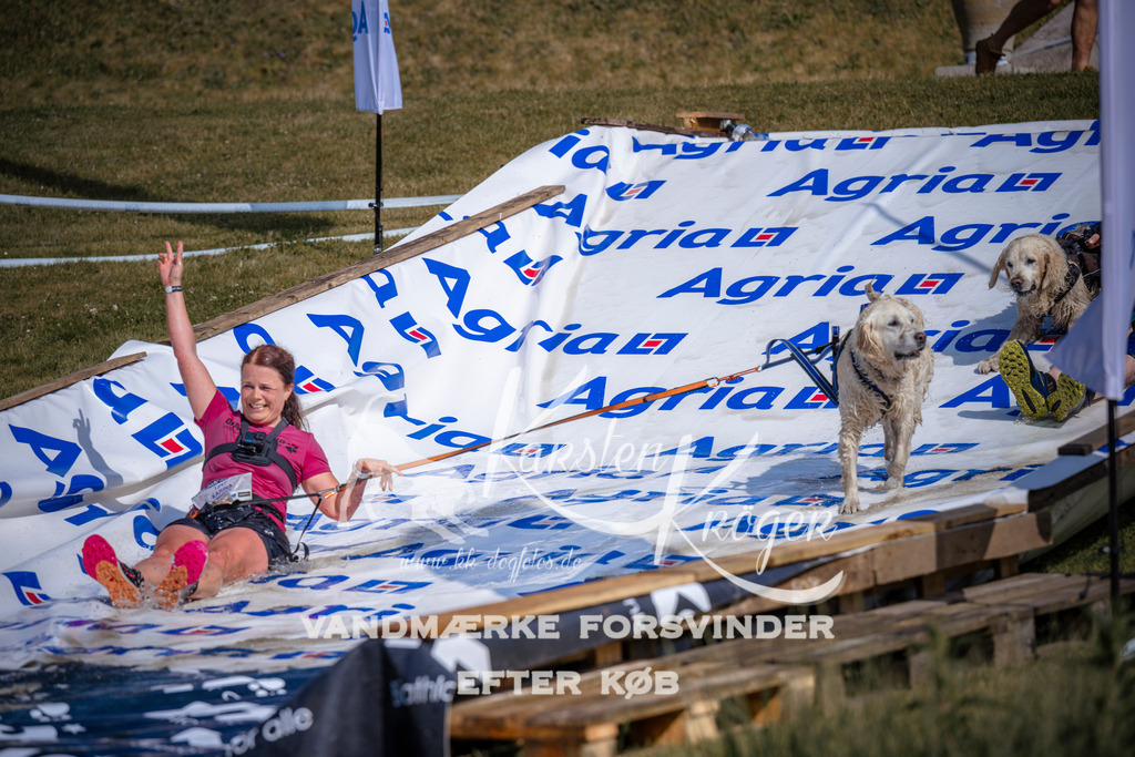 _ZZ993250826 | kk-dogfotos