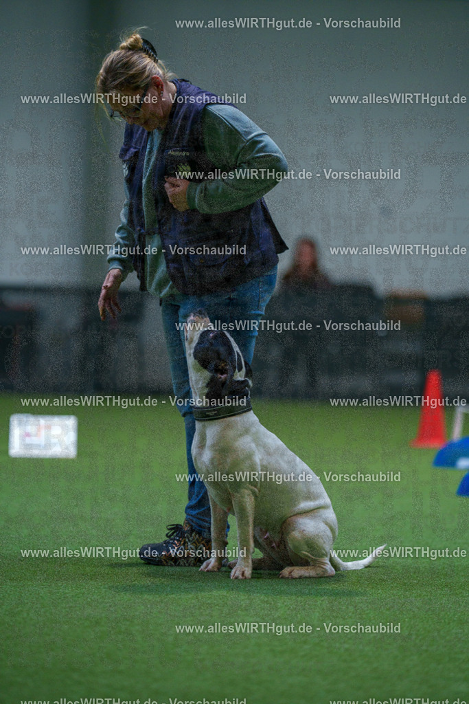 7R503017 | Professionelle Tierfotografie in Mönchengladbach von Daniel Wirth (allesWIRTHgut). Liebevolle & natürliche Bilder von Hunden & Katzen für unvergessliche Erinnerungen.