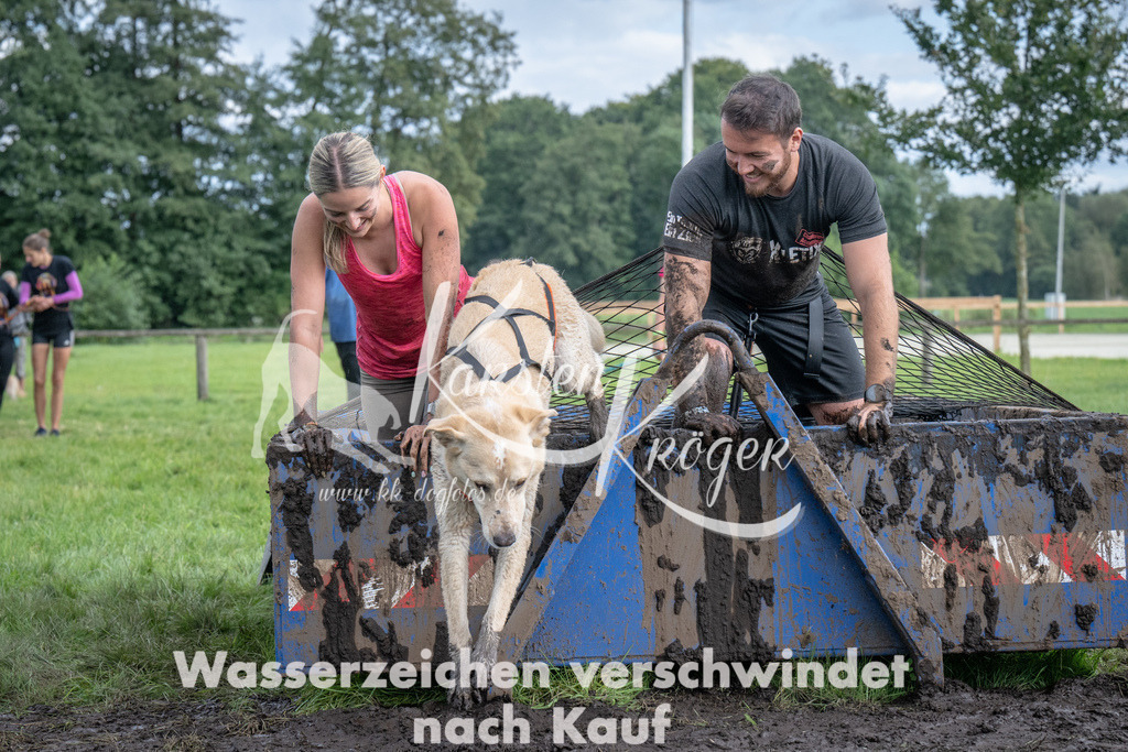 1429_ZZ92478 | kk-dogfotos
