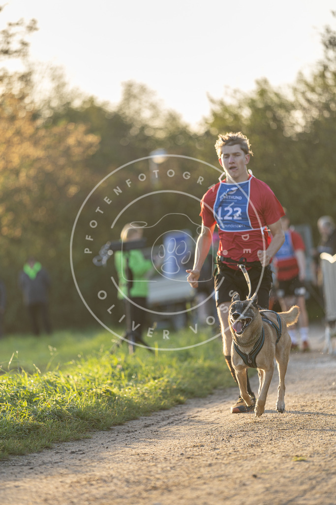 Pfotenfotografie.de_DV3A2392 | Hundefotografie, Tierfotograf, Pfotenfotografie, Fotoshooting Hund, Hunde Portrait, Hundesport, Hundeportraits, Heideshooting, Hunde, Sportfotograf, Hundefotograf, Turnierhundsport, THS, canicross - Realisiert mit Pictrs.com