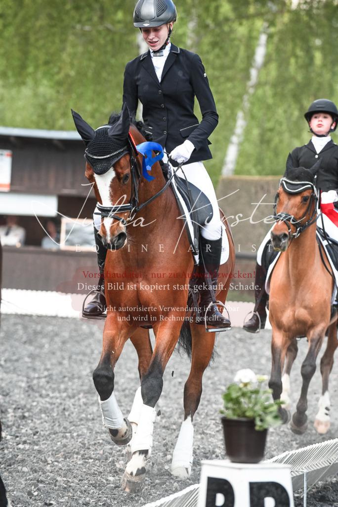 DSC_9096 | Pferde- und Turnierfotografie in Westsachsen. Pferdeportraits, Auftragszeichnungen und intuitive Kunst.