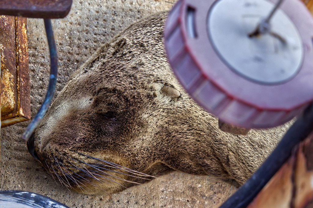 1H5A2131 | ansichtssache