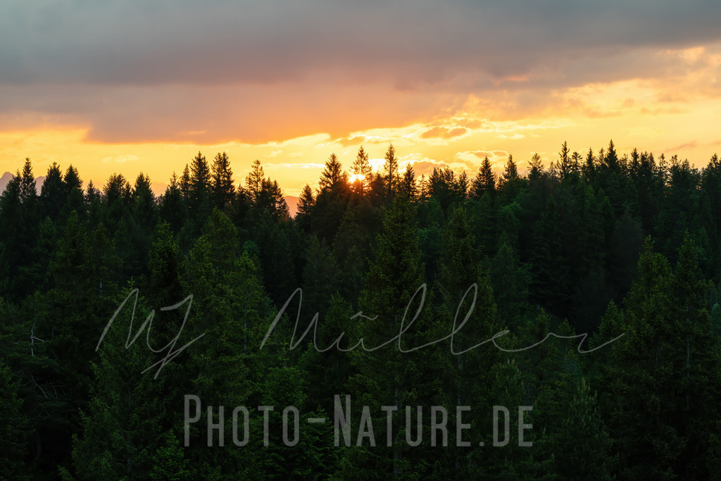 Die Sonne geht unter | Prächtige Farben schmücken den Himmel bevor die Sonne hinter dem Wald verschwindet - Realisiert mit Pictrs.com