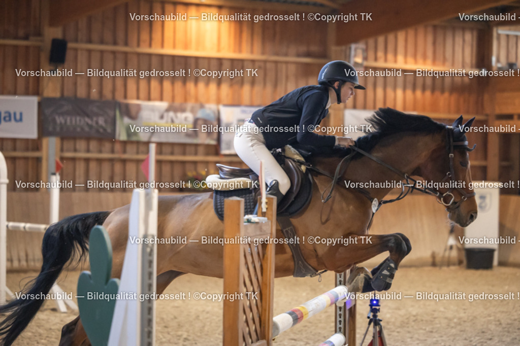 _D5A9250 | Emotionale Pferde- & People-Fotografie rund um Heidelberg, Leimen & Umgebung. Natürliche Fotos von Pferd, Mensch & Familie. Jetzt Termin sichern!