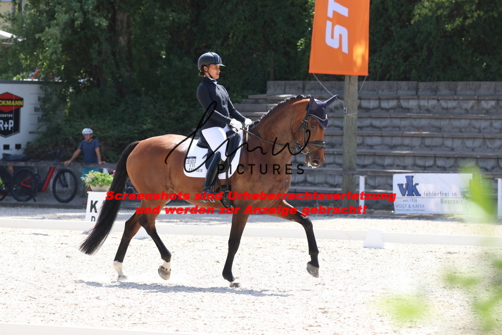 IMG_5221 | lmwpictures - Realisiert mit Pictrs.com