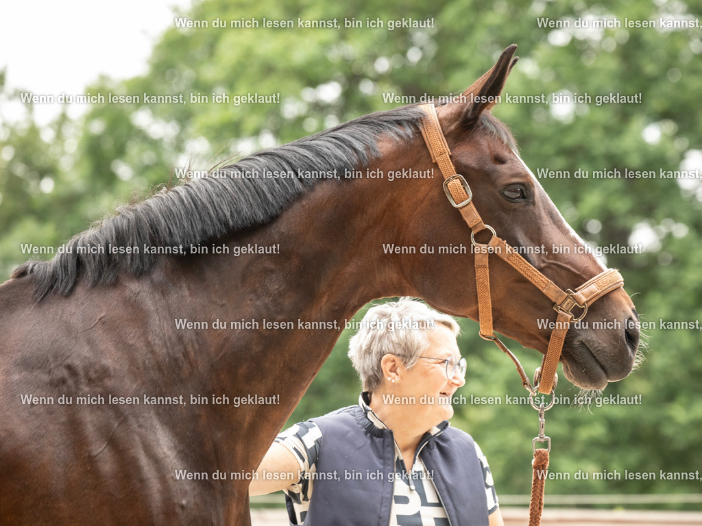 598A5979 | photographylinaismer - Realisiert mit Pictrs.com