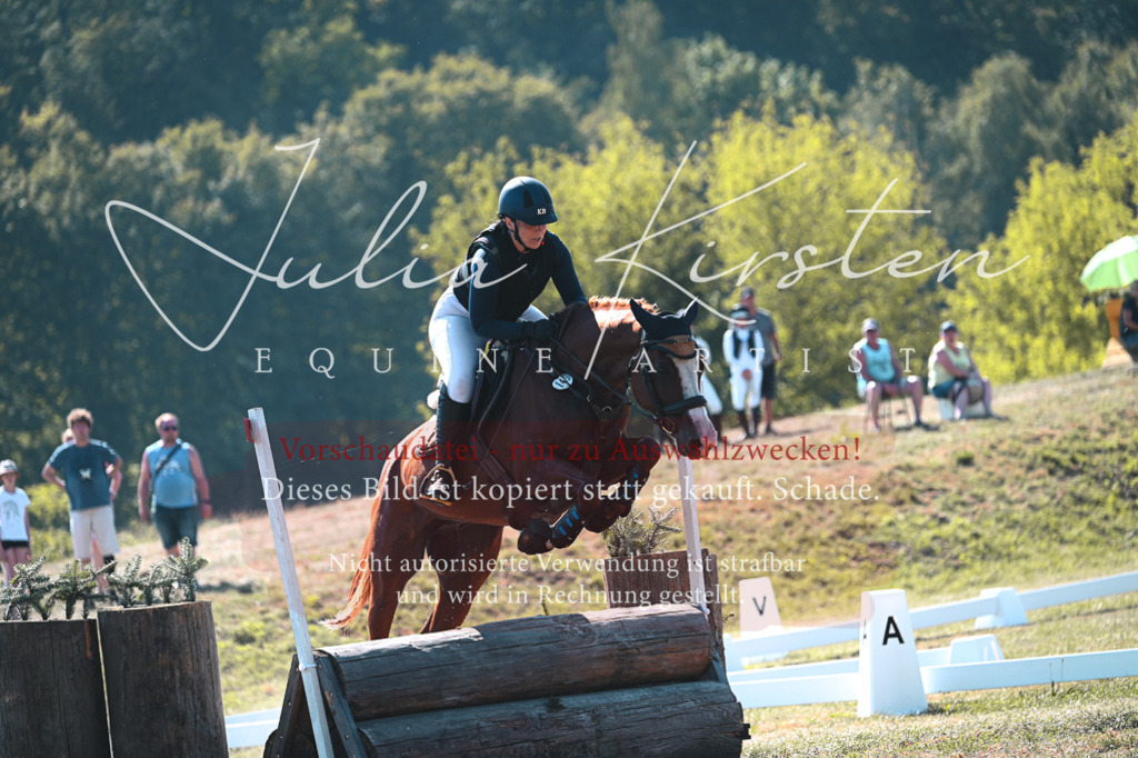 DSC_7996 | Pferde- und Turnierfotografie in Westsachsen. Pferdeportraits, Auftragszeichnungen und intuitive Kunst.