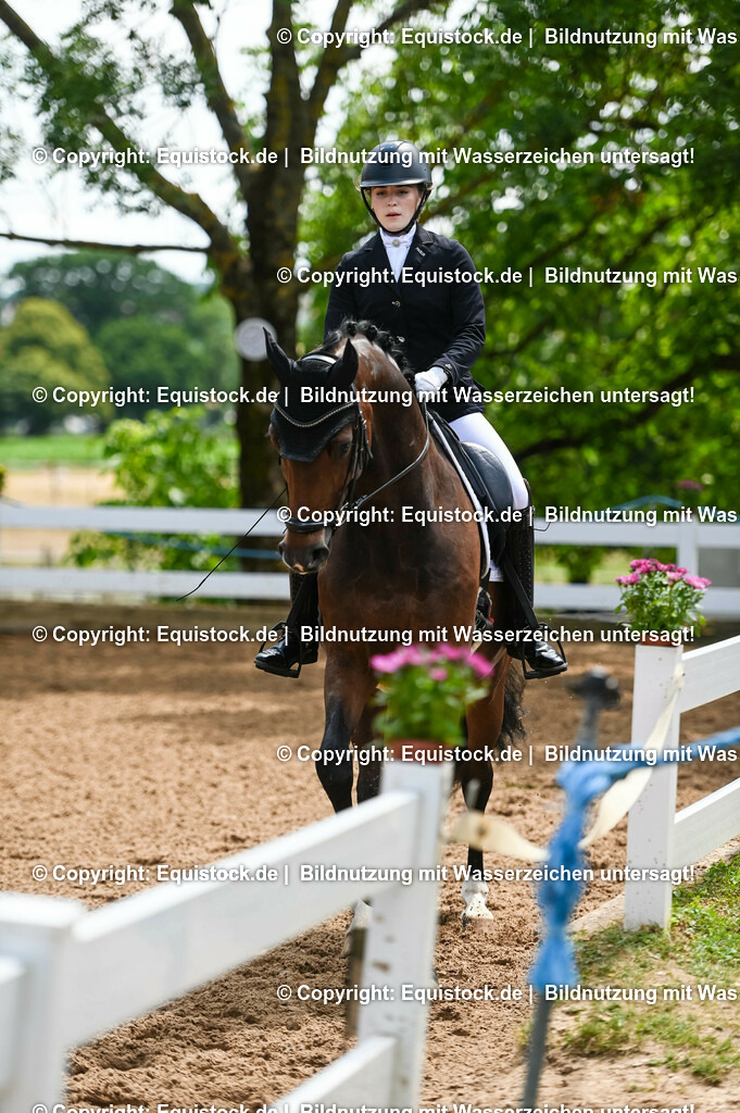 20230716_03_Dressurprfg. Kl.L - Tr._0458 | equistock
