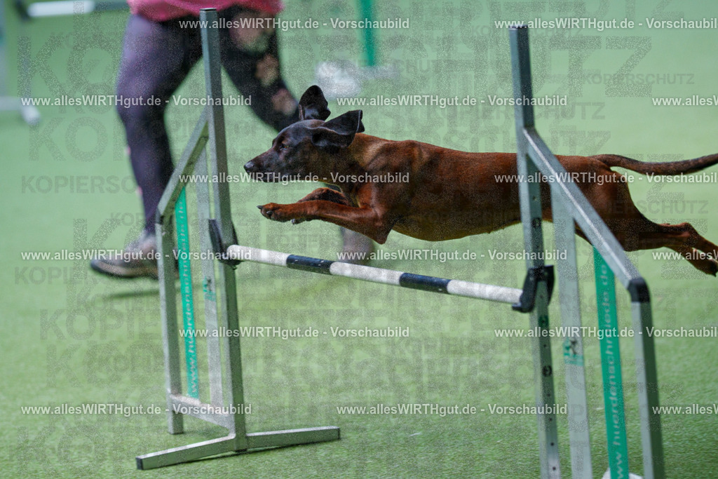 @allesWIRTHgut_Tierfotografie - www.allesWIRTHgut.de - 2604251235-7R502148 | Professionelle Tierfotografie in Mönchengladbach von Daniel Wirth (allesWIRTHgut). Liebevolle & natürliche Bilder von Hunden & Katzen für unvergessliche Erinnerungen.