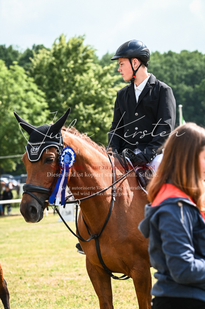DSC_8612 | Pferde- und Turnierfotografie in Westsachsen. Pferdeportraits, Auftragszeichnungen und intuitive Kunst.
