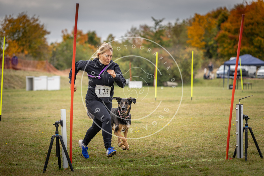 Pfotenfotografie_DV3A5730 | Hundefotografie, Tierfotograf, Pfotenfotografie, Fotoshooting Hund, Hunde Portrait, Hundesport, Hundeportraits, Heideshooting, Hunde, Sportfotograf, Hundefotograf, Turnierhundsport, THS,  - Realisiert mit Pictrs.com