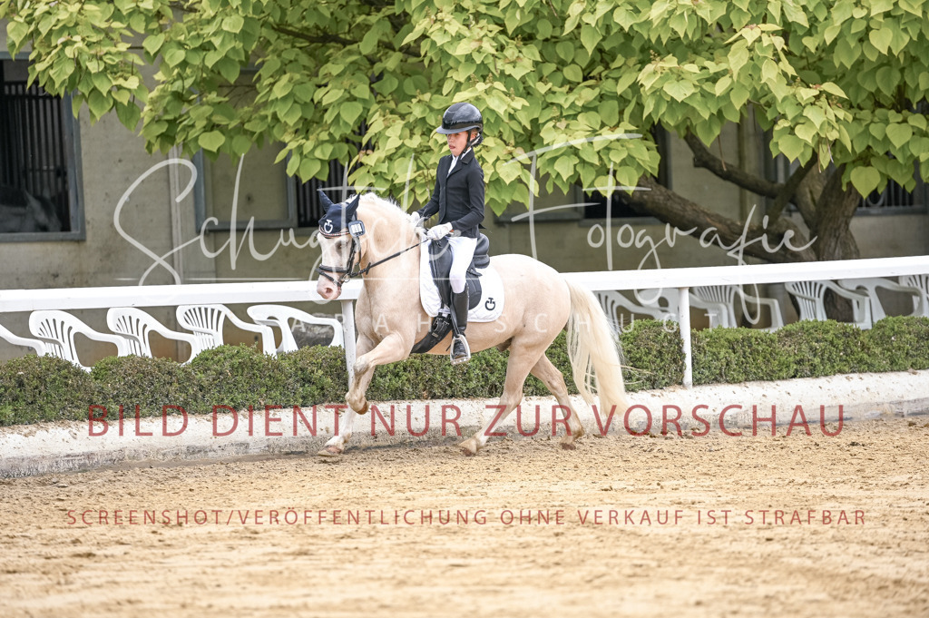 Schugtsche-Aluta25-42.EDressur -406 | Schugtsche Fotografie - Realisiert mit Pictrs.com