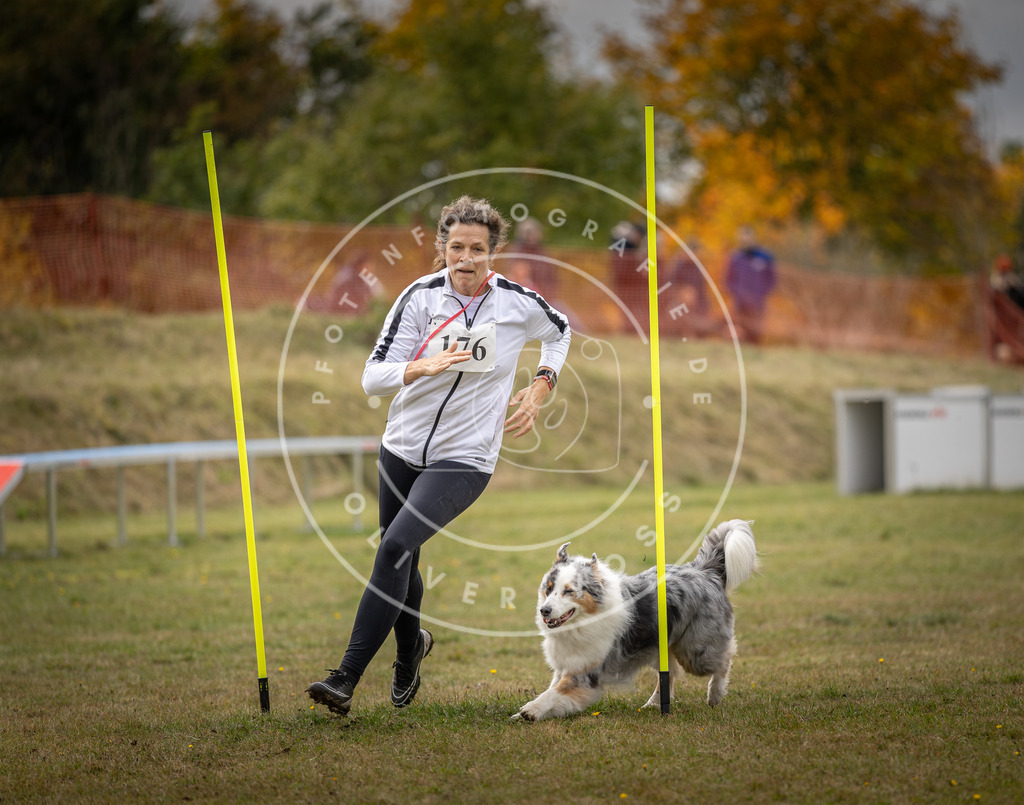 Pfotenfotografie_DV3A5804 | Hundefotografie, Tierfotograf, Pfotenfotografie, Fotoshooting Hund, Hunde Portrait, Hundesport, Hundeportraits, Heideshooting, Hunde, Sportfotograf, Hundefotograf, Turnierhundsport, THS,  - Realisiert mit Pictrs.com