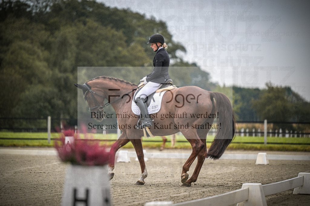 DOS_0083 | Entdecke hochwertige Reitturnierfotos von Foto Oger. Professionell, emotional und authentisch – jetzt Lieblingsmomente im Shop bestellen.Deutschlandweite Turnierfotografie. - Realisiert mit Pictrs.com