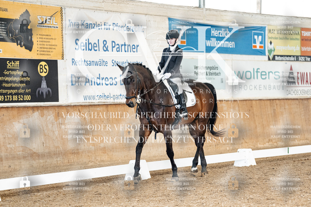 CK900212 | Turnierfotografie Pferdefotografie Trier Rheinland-Pfalz Pferdesport Reitsport Tierfotografie Sportfotografie Pferdevideo Pferdevideografie Equestrianvideography equestrianphotography  - Realized with Pictrs.com