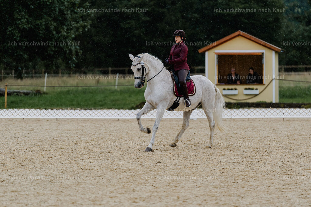Kelly4_FHC2025-8591 | working equitationturnier fotograf videograf stoibphotography marixx film working equitation deutschland reitsport turnierfotografie eventfotografie equestrian events