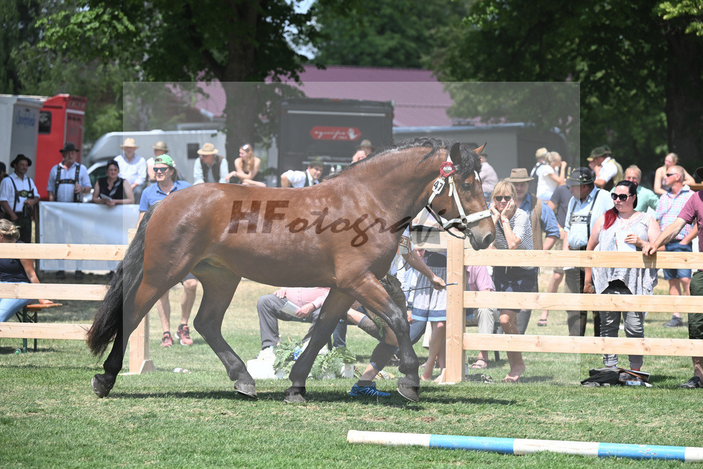Kat-Nr. 47 Nymphenburg_Huber_20230740 | hf-fotografie - Realisiert mit Pictrs.com