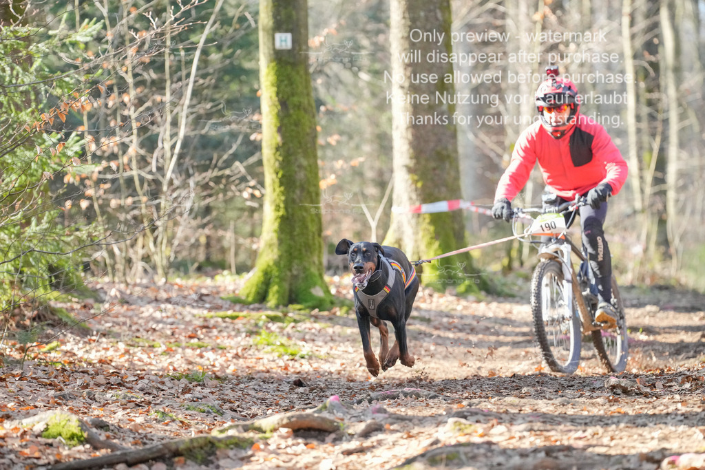 Bike_So-65 | stephaniefillaphotographie - Realisiert mit Pictrs.com