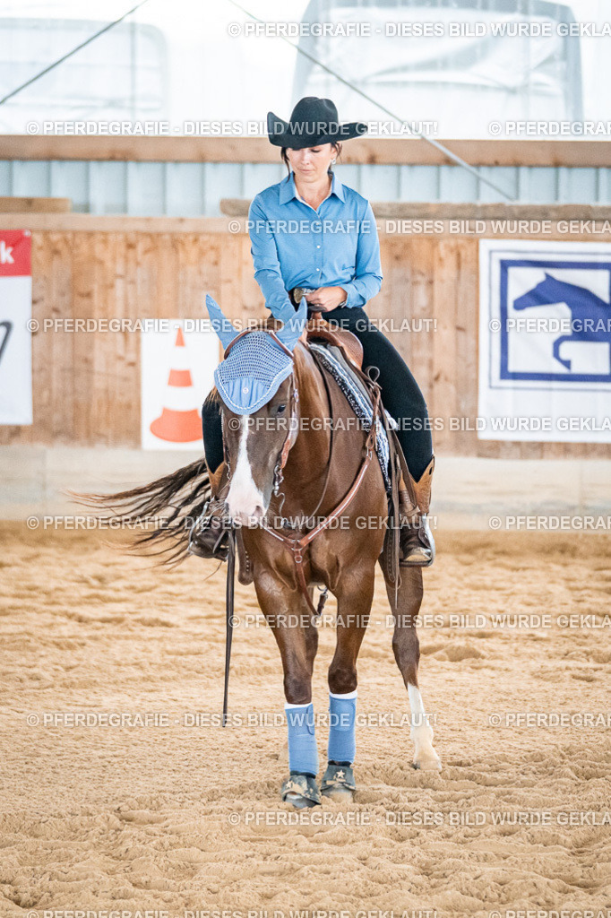 DSC00458 | Pferdegrafie