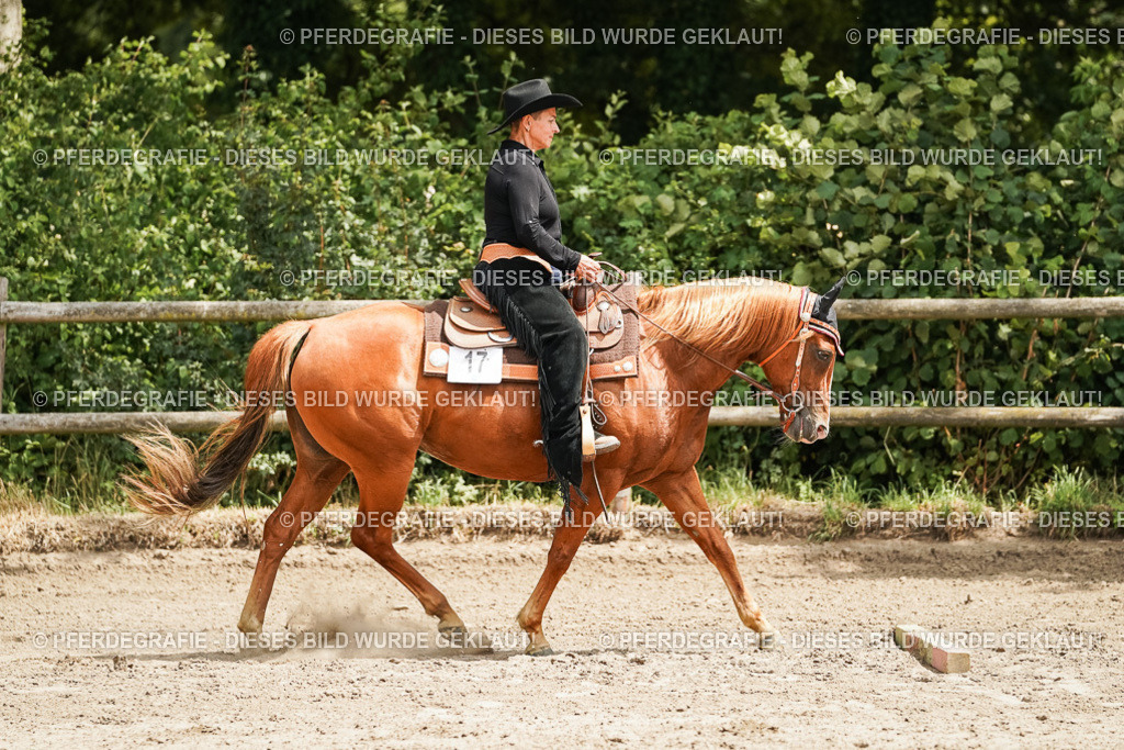 DSC08121 | Pferdegrafie