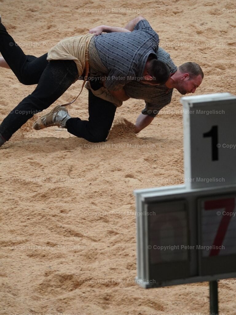 k-DSC06157 | Schwingen - Realisiert mit Pictrs.com