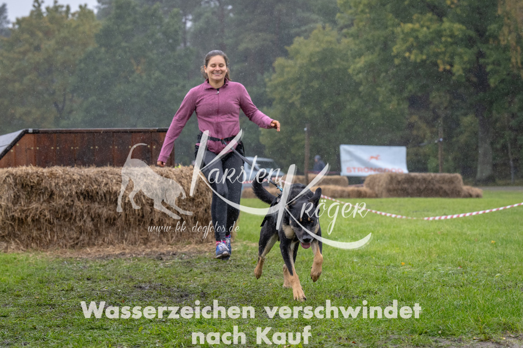 1259-92862 | kk-dogfotos