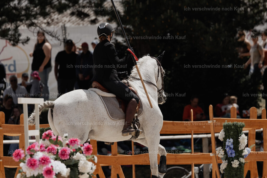WE_ST_Stoib_312_PI2025_1082 | Pferd International München 2025