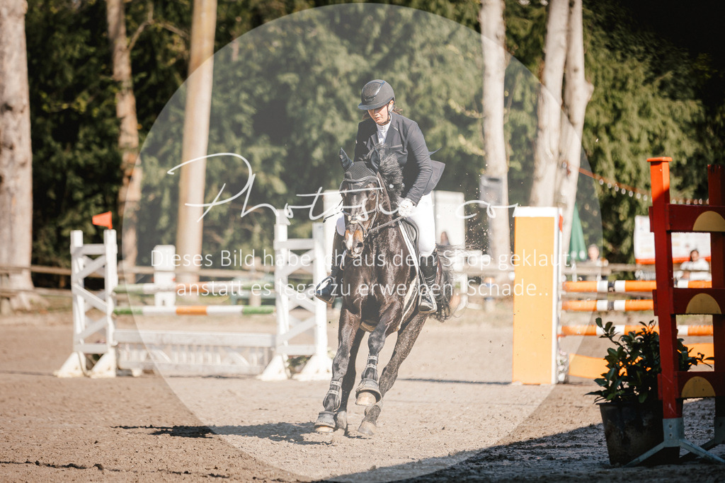 3I6A3716 | Stimmungsvolle Portraits und Reitsportfotografie im Ruhrgebiet und im Münsterland.

Pferdefotografie, Hundefotografie, Tierfotografie, Reportagen, Portraits von Tier und Mensch, Turnierfotografie in Bochum, Recklinghausen, Marl, Haltern am See, Dülmen.. - Realisiert mit Pictrs.com