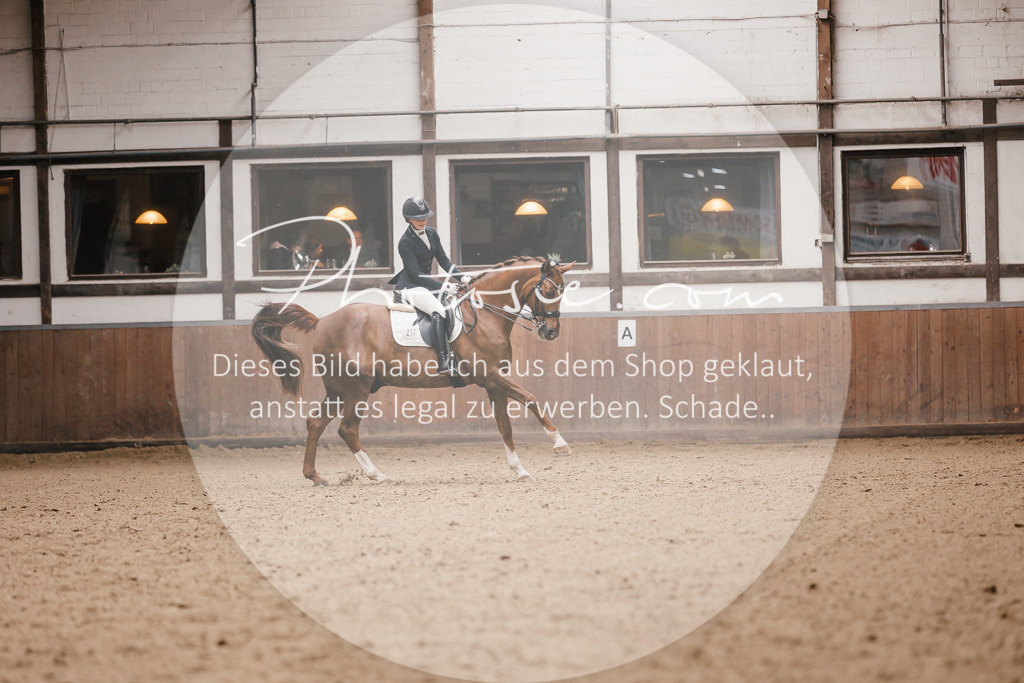 3I6A9078 | Stimmungsvolle Portraits und Reitsportfotografie im Ruhrgebiet und im Münsterland.

Pferdefotografie, Hundefotografie, Tierfotografie, Reportagen, Portraits von Tier und Mensch, Turnierfotografie in Bochum, Recklinghausen, Marl, Haltern am See, Dülmen.. - Realisiert mit Pictrs.com