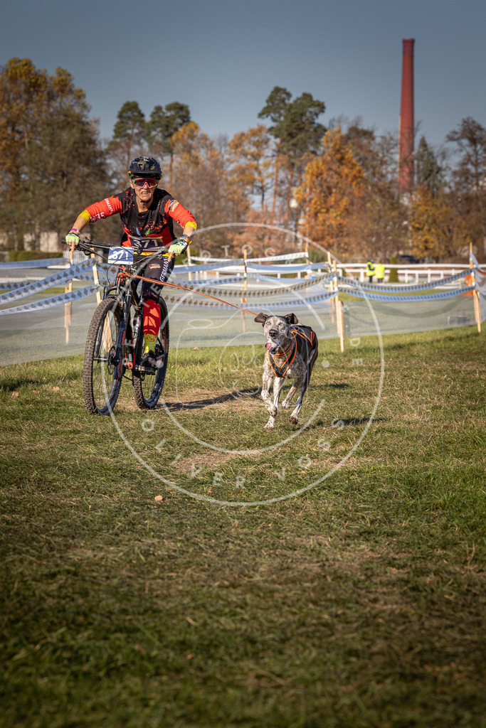 CaniXpix_0L8A6436 | Hundefotografie, Tierfotograf, Pfotenfotografie, Fotoshooting Hund, Hunde Portrait, Hundesport, Hundeportraits, Heideshooting, Hunde, Sportfotograf, Hundefotograf, Turnierhundsport, THS,  - Realisiert mit Pictrs.com