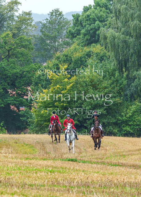 Jagd Kletkamp 26-02839_MarinaHewig | Fotografie, FotoArt, PferdesportArt, Pferdesportfotografie, Landschaftsfotografie, Reisefotografie, Reise, Pferde - Realisiert mit Pictrs.com