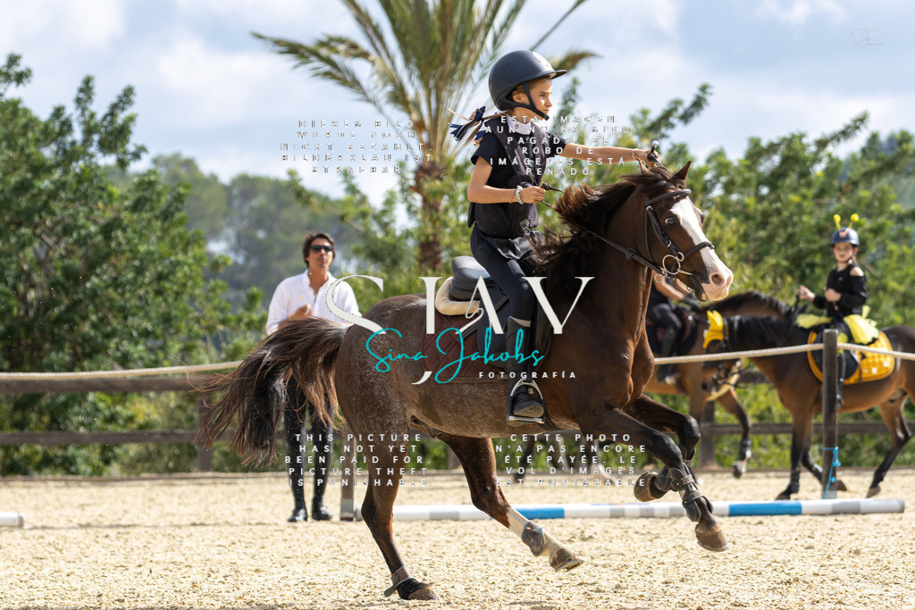 IMG_2701 | s-jay-photography - Realisiert mit Pictrs.com