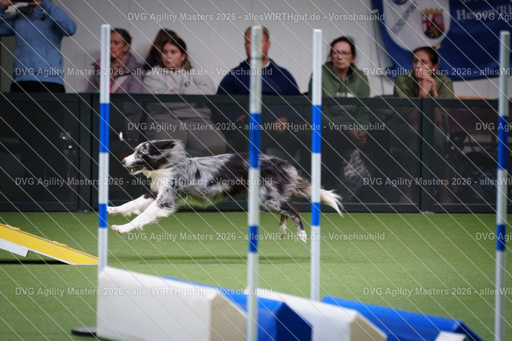 allesWIRTHgut_Tierfotografie-DVG_Agility_Masters_2026-16_41-7R508439 | Professionelle Tierfotografie in Mönchengladbach von Daniel Wirth (allesWIRTHgut). Liebevolle & natürliche Bilder von Hunden & Katzen für unvergessliche Erinnerungen.