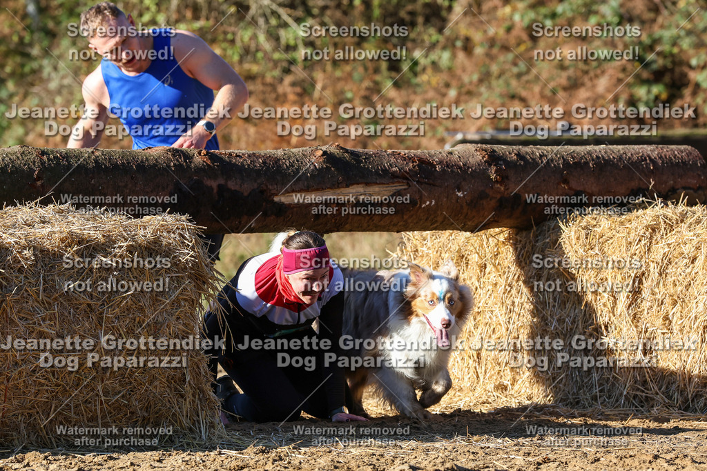 Dog Paparazzi - Strongdog 10-25-1832 | Dog Paparazzi Jeanette Grottendiek Fotografie & Videografie - Realisiert mit Pictrs.com