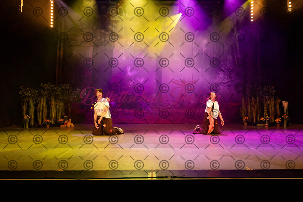 Ballettaufführung-333 | Bildershop Lem'n Entertainment - Realisiert mit Pictrs.com