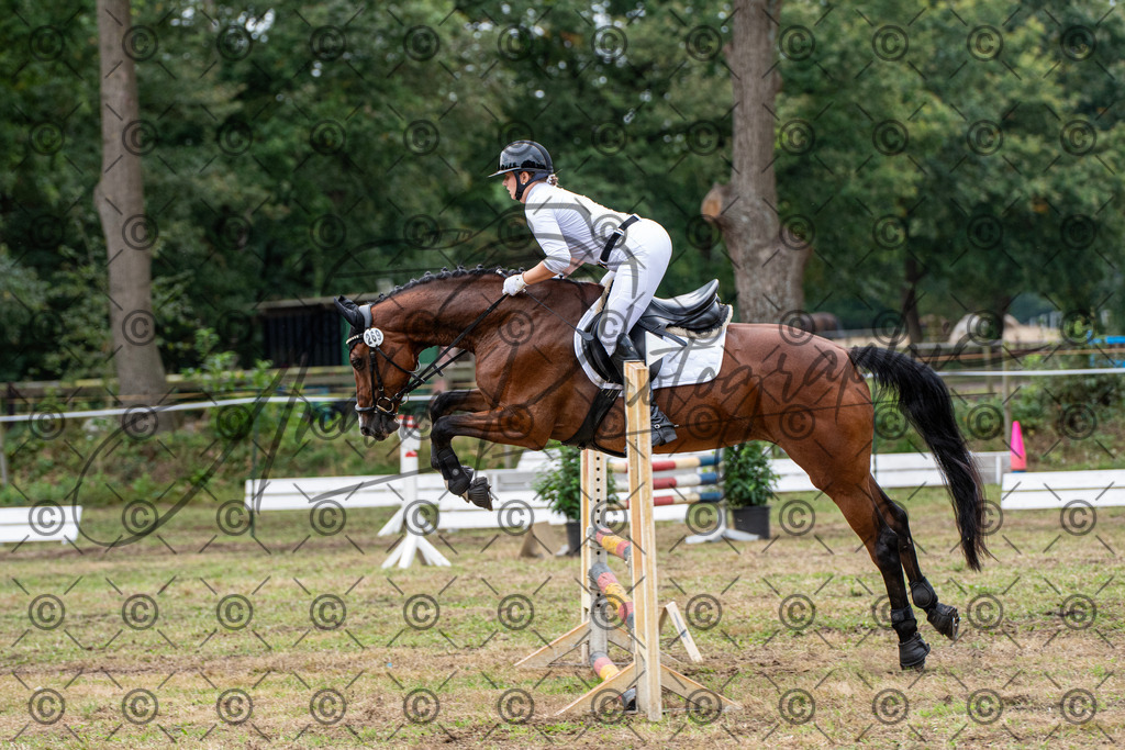 SHT_7624 | andre_photographic