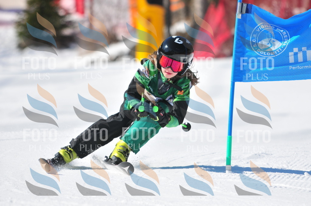 C3028 | holidayphoto