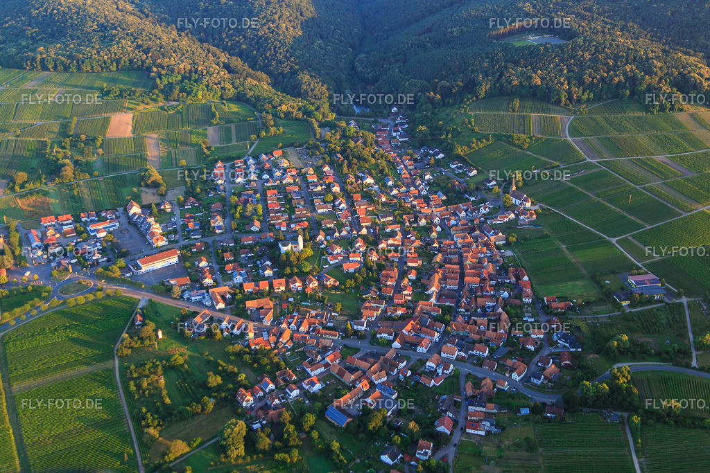 Dorfansicht am Morgen aus Osten | Luftbild: Dorfansicht am Morgen aus Osten im Ortsteil Rechtenbach in Schweigen-Rechtenbach im Bundesland Rheinland-Pfalz in Deutschland. Foto: IMG_091525.jpg vom 10.07.2016 durch Werner Riehm/FLY-FOTO.de - Realisiert mit Pictrs.com