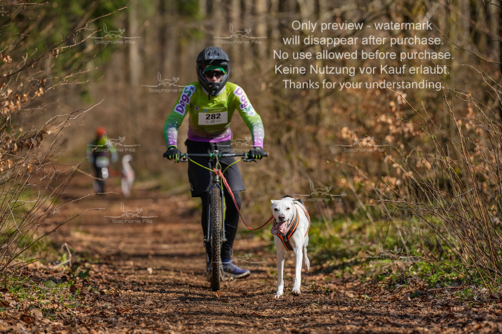 Scooter_kurz_So-17 | stephaniefillaphotographie - Realisiert mit Pictrs.com