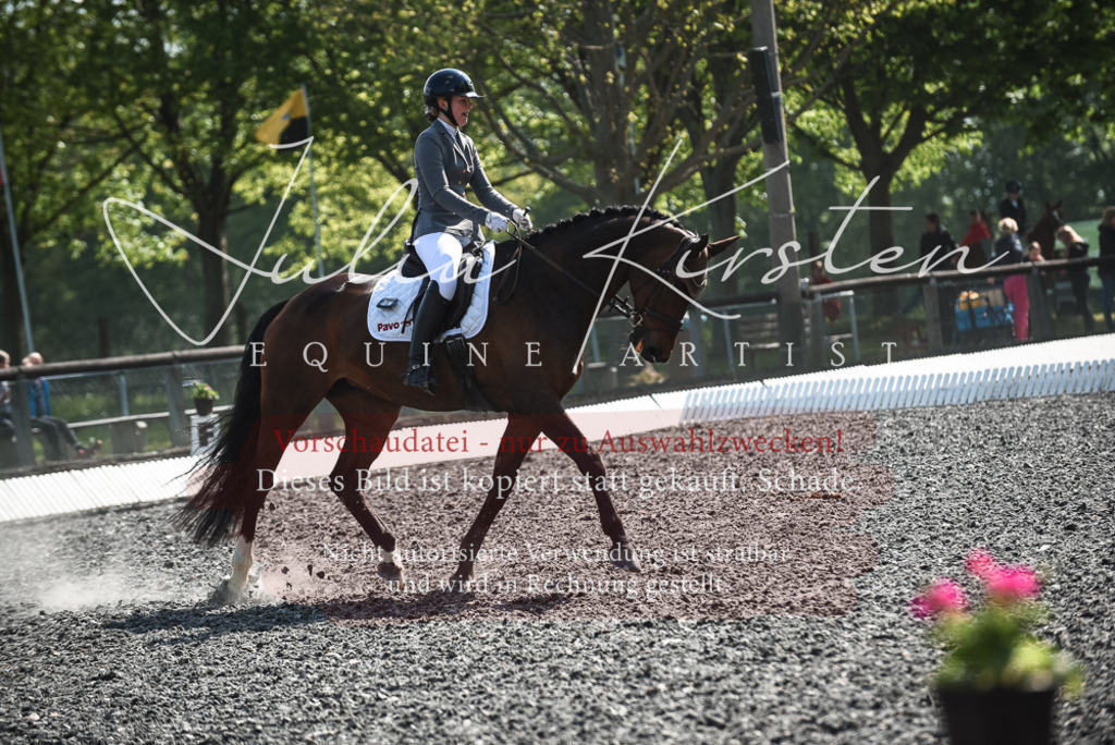 DSC_8941 | Pferde- und Turnierfotografie in Westsachsen. Pferdeportraits, Auftragszeichnungen und intuitive Kunst.