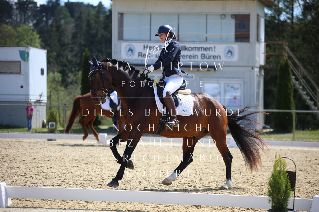 IMGT1912 | pl-fotografie