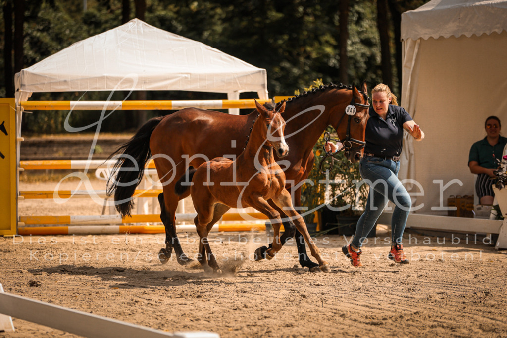 07.DoWBS00112 | Leoni Ertmer Photography - Realisiert mit Pictrs.com