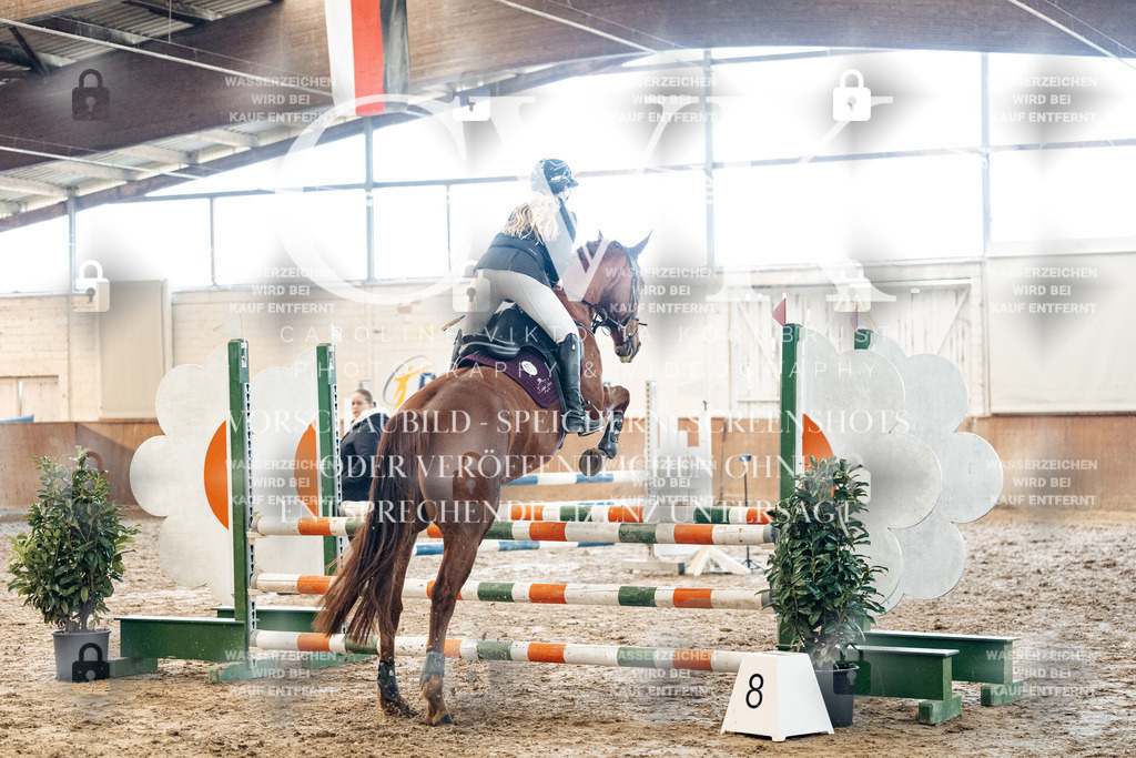 CK904758 | Turnierfotografie Pferdefotografie Trier Rheinland-Pfalz Pferdesport Reitsport Tierfotografie Sportfotografie Pferdevideo Pferdevideografie Equestrianvideography equestrianphotography  - Realisiert mit Pictrs.com