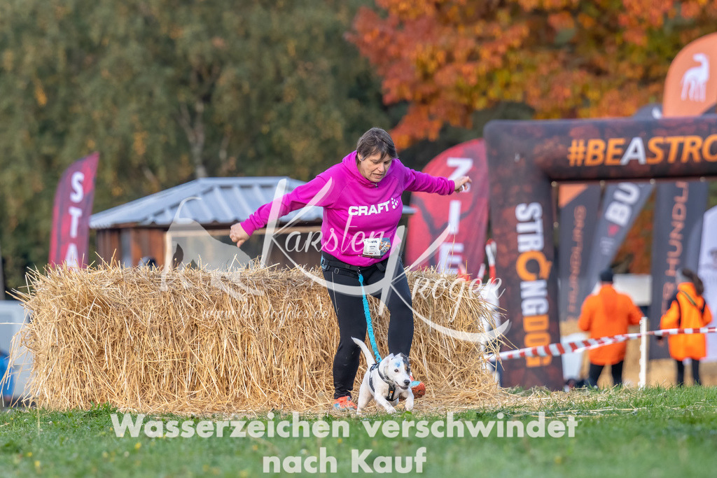 0857_ZZ91839-Bearbeitet | kk-dogfotos