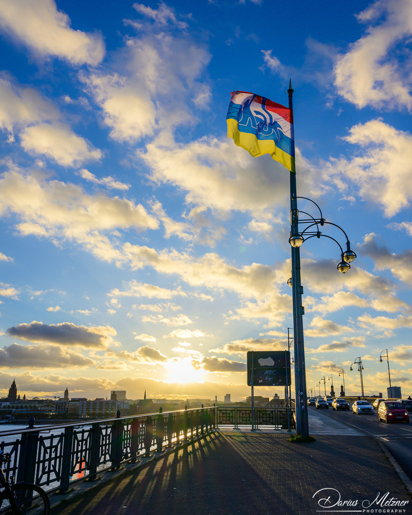 Die Theodor-Heuss-Brücke | Die Theodor-Heuss-Brücke in Mainz